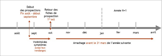 calendrier_prospections
